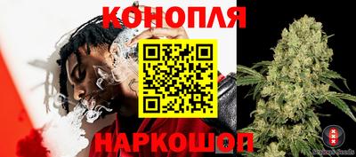 эйфоретик Коммунар