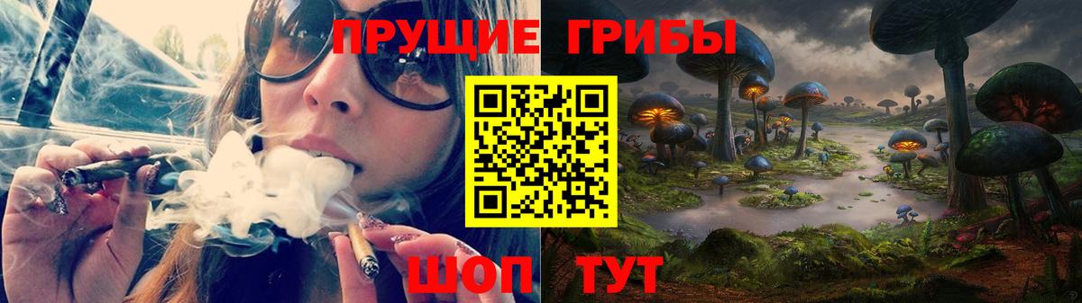 Псилоцибиновые грибы мицелий  Вход с VPN  Карачаевск 